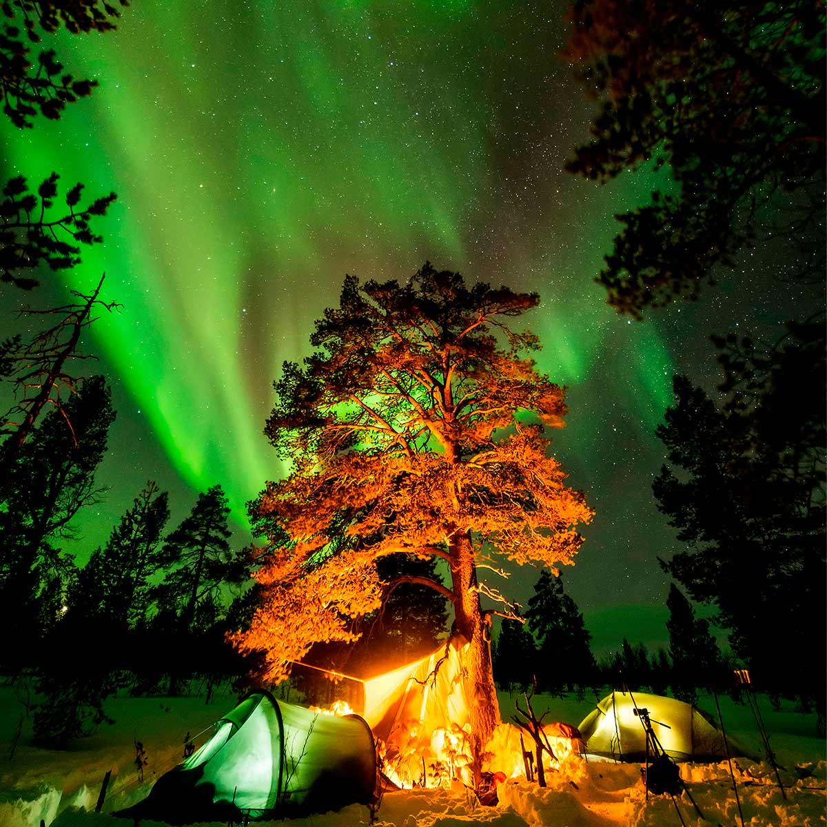Northern-Lights- in lapland